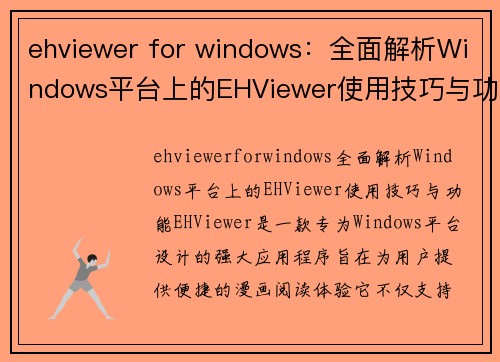 ehviewer for windows：全面解析Windows平台上的EHViewer使用技巧与功能